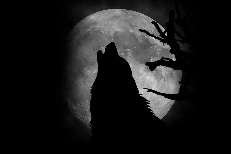 The Wolf Moon